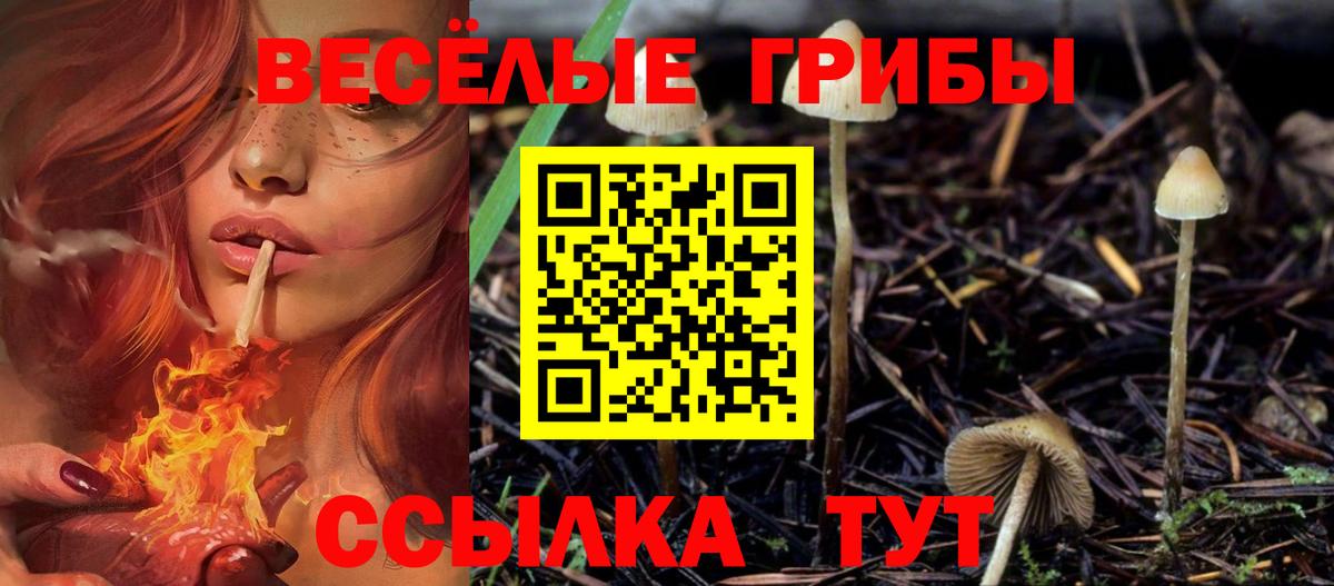 Учалы  Галлюциногенные грибы GOLDEN TEACHER  Вход с VPN 